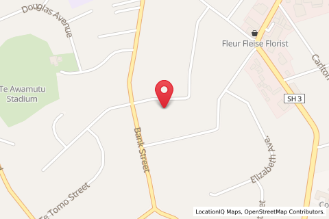 53 Bond Styreet,,Te Awamutu,WAIKATO,